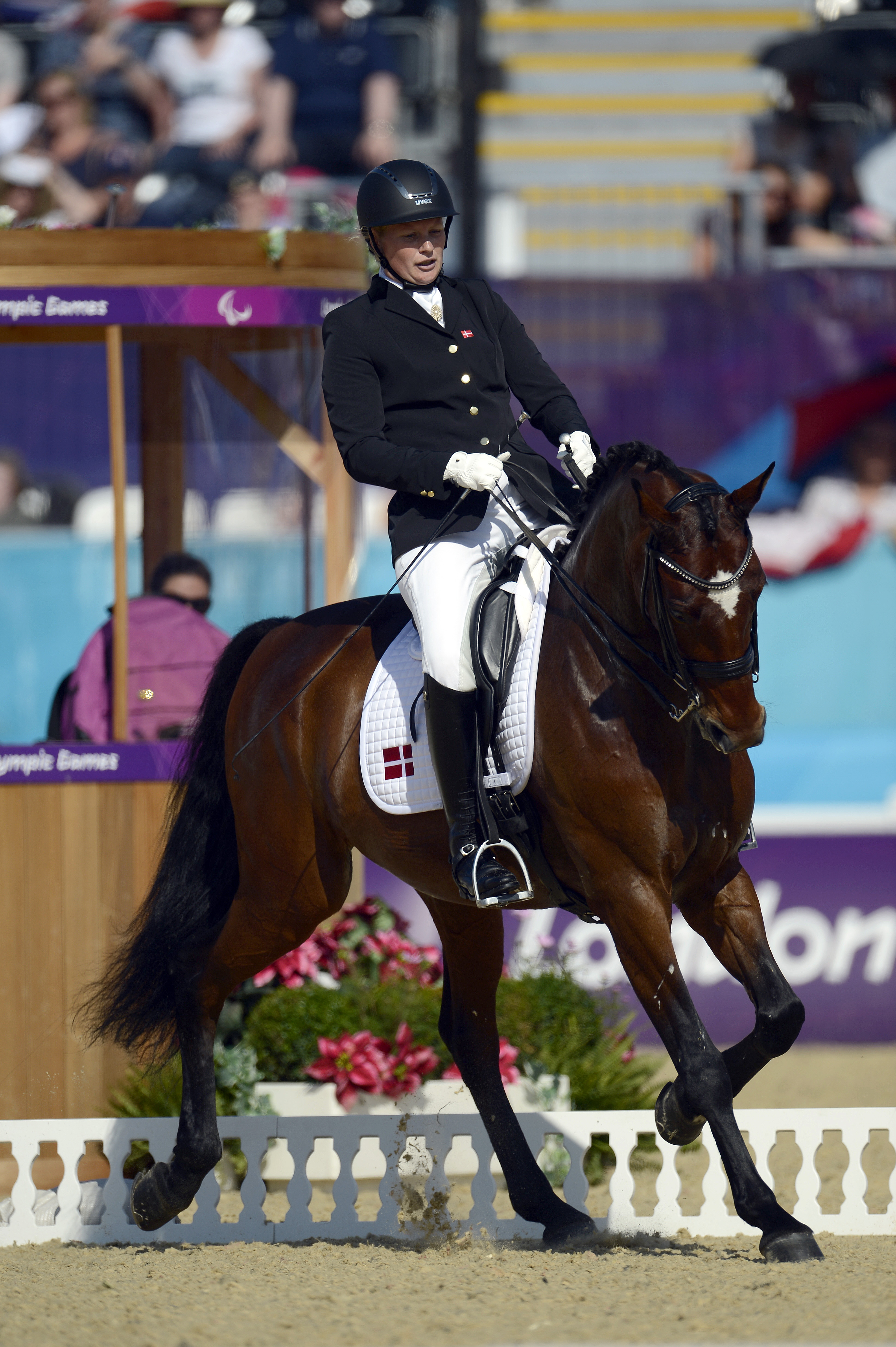 Første danske paradressurrytter udtaget